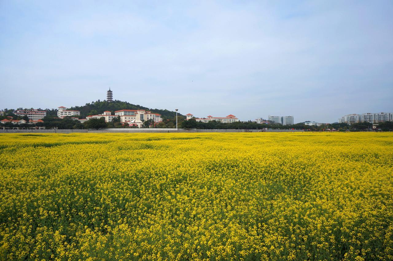 Dongguan Goodview Hotel Sangem Qiaotou Εξωτερικό φωτογραφία