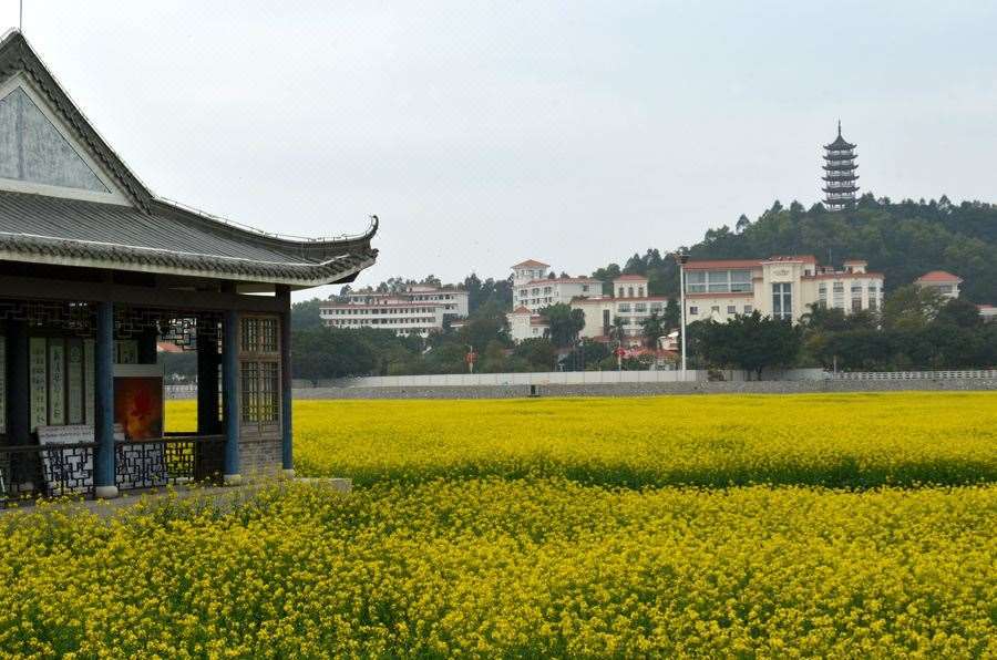 Dongguan Goodview Hotel Sangem Qiaotou Ανέσεις φωτογραφία